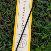 024 – INCENSO MAGNETIZADO - PROSPERIDADE